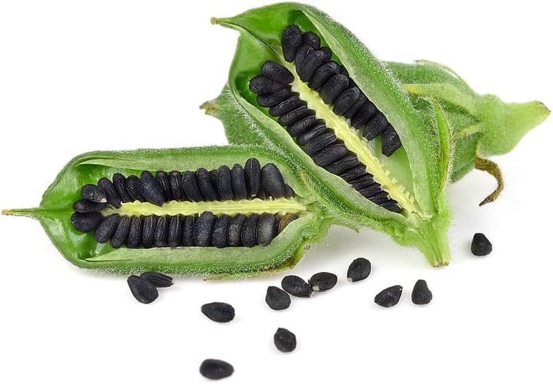 Sesame Seeds